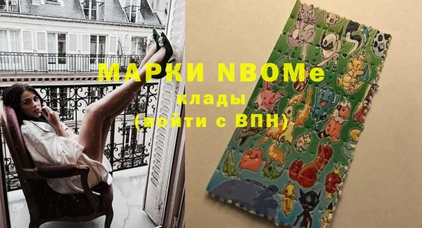 ПСИЛОЦИБИНОВЫЕ ГРИБЫ Верея