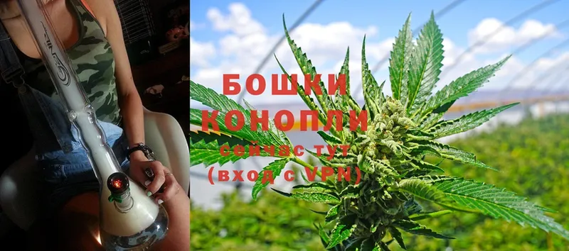 Шишки марихуана THC 21%  где можно купить   Облучье 